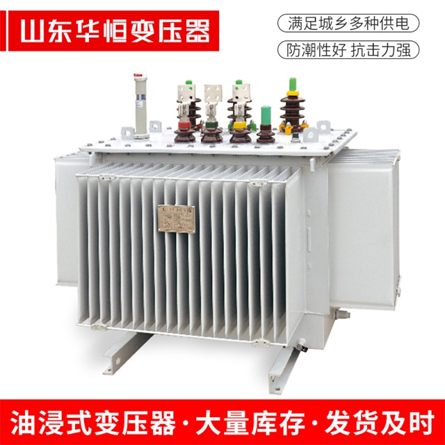 S13-10000/35皇姑皇姑皇姑电力变压器